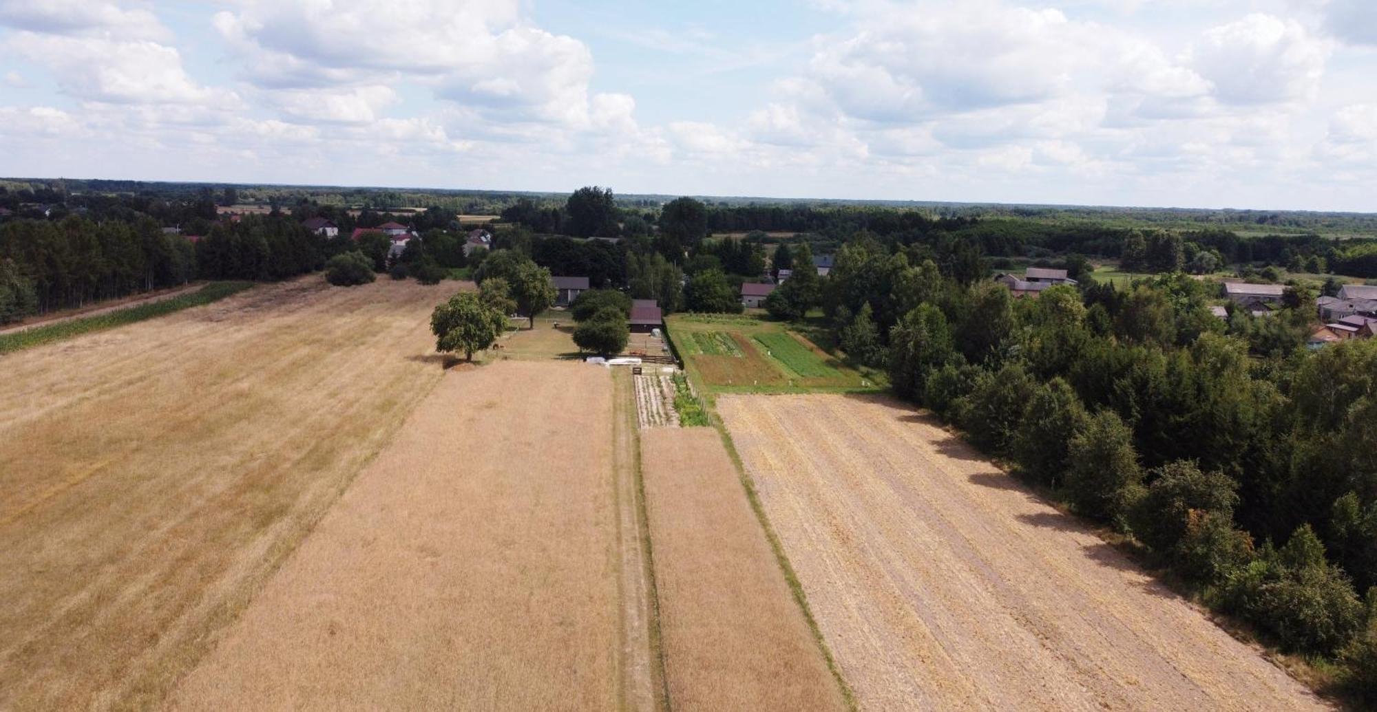Agroturystyka Kraina Jezior Ludwin Exteriör bild