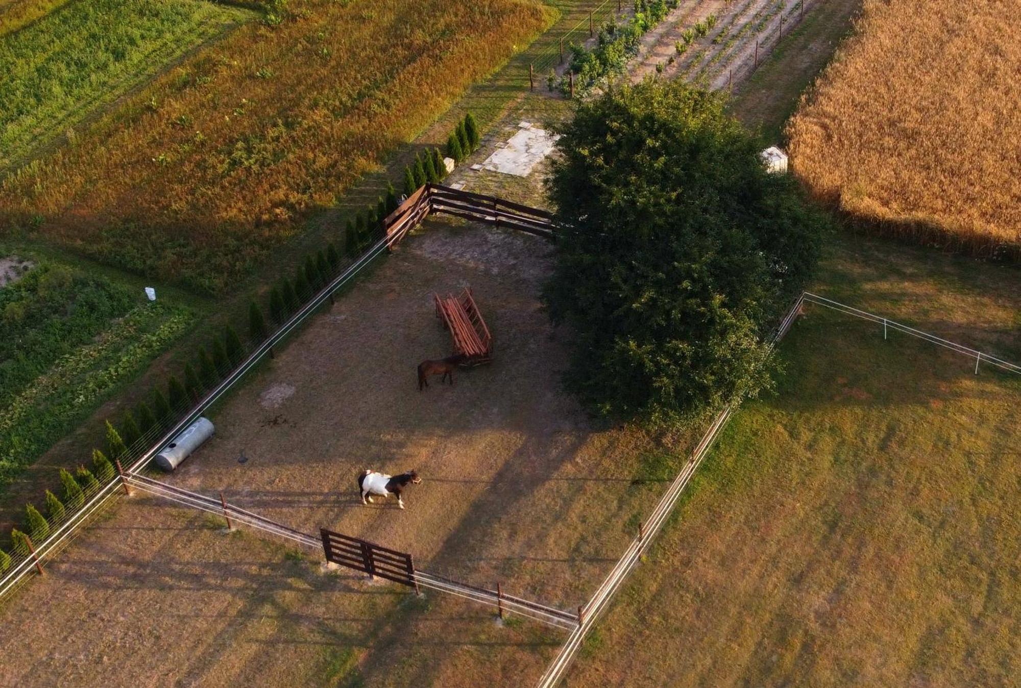 Agroturystyka Kraina Jezior Ludwin Exteriör bild